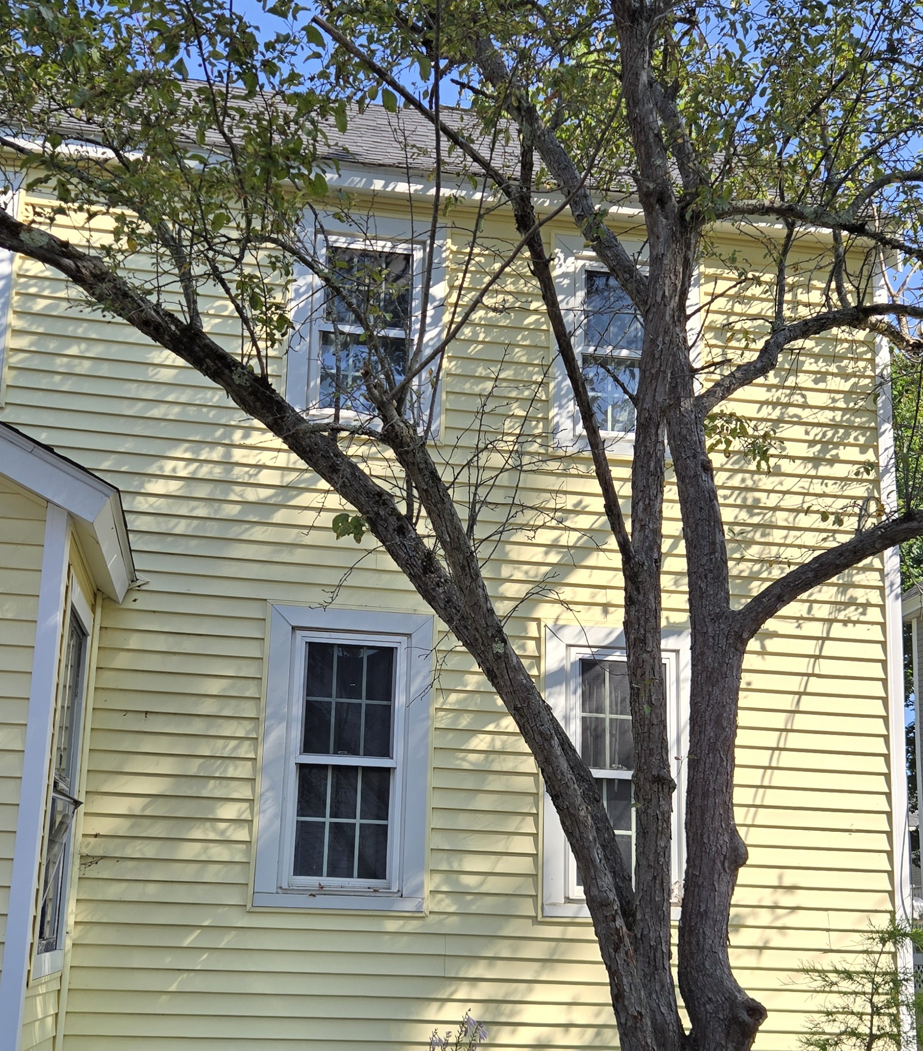 6 Spring Street